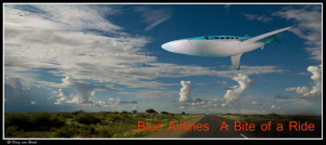 Blue airlines...a bite of a ride... by Dray Van Beeck 